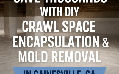 Save Thousands with DIY Crawl Space Encapsulation and Mold Removal in Gainesville, GA — With Expert Guidance from Pure Protection Restorations