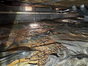 Crawl space mold remediation in North Georgia