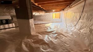 Crawl space mold remediation in North Georgia