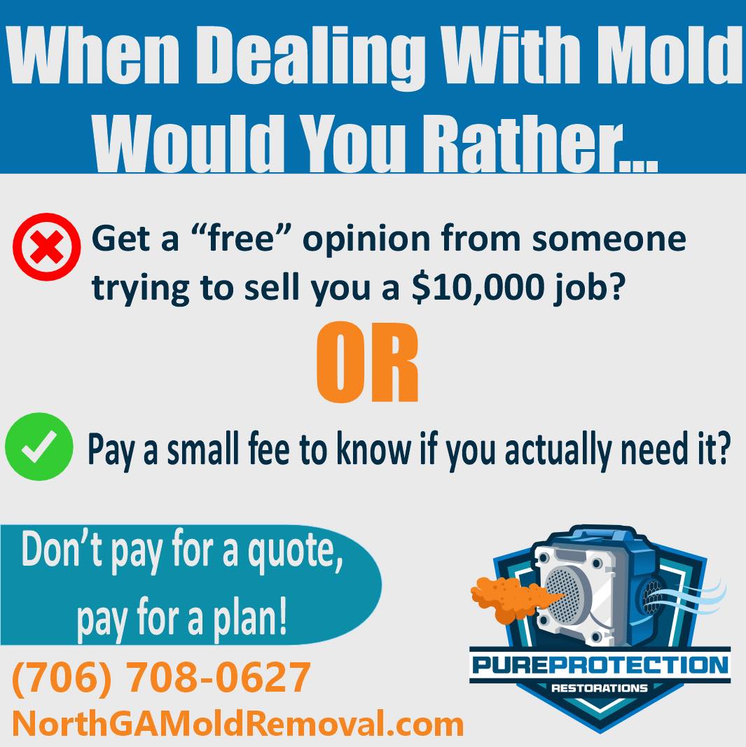 The Truth About Free Mold Inspections in North Georgia DIY crawlspace mold solutions in North Georgia